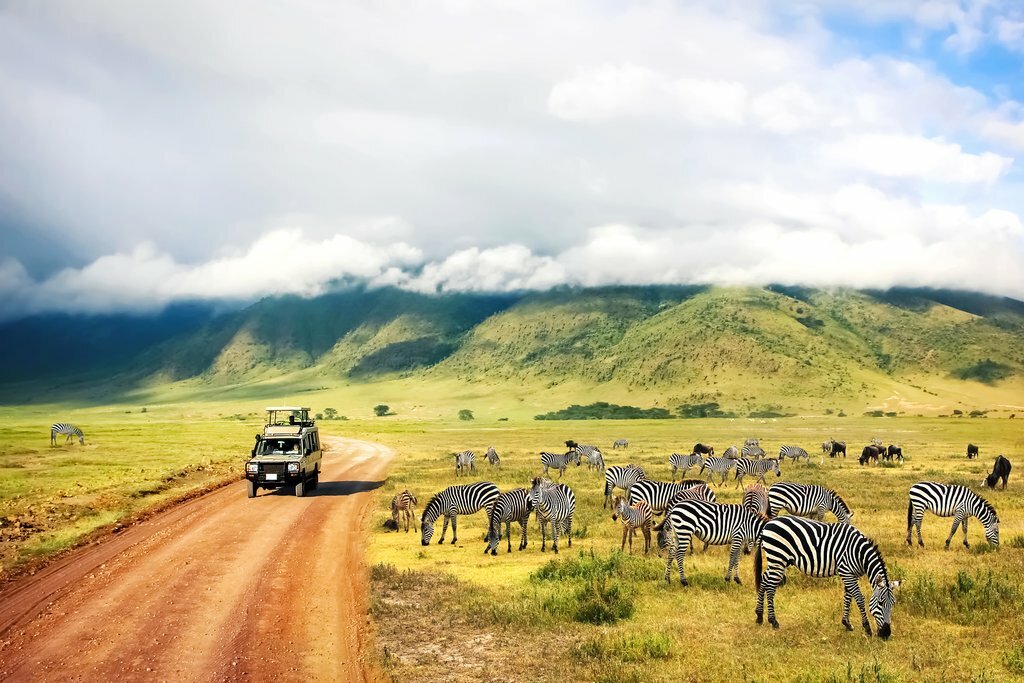 Image of a lion on a Kenyan savanna